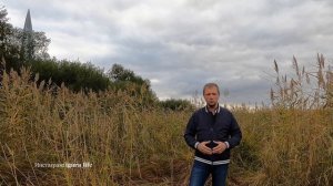 Клиники имени Юрия Репина - в каком случае стоит ехать, если очень хочется?.