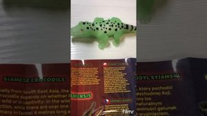 Распаковка «КРОКОДИЛЫ И КО»  Сиамский крокодил. Обзор.