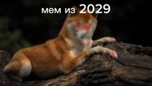 мем из 2029 года (вы пока не поймёте)