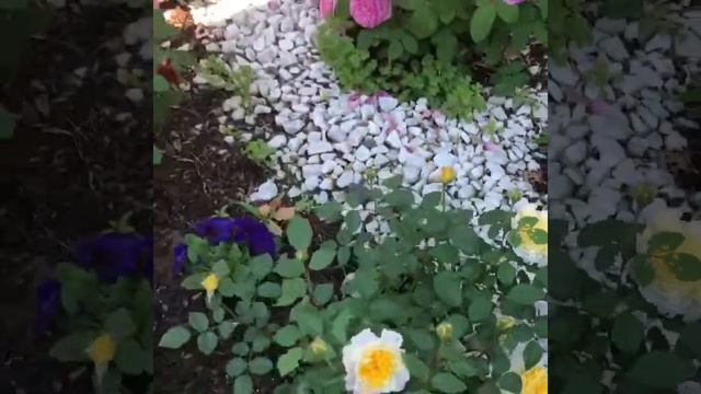 Princess Alexandra of Kent смотреть онлайн