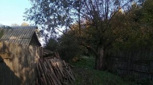 ? Осень ?