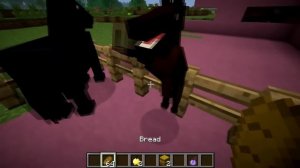 Minecraft Horses: Food