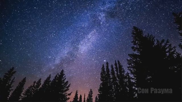 DAWG, ИНОПЛАНЕТЯНИ, КОСМОС ЭТО ВОДА, ЛУНА С АЛИЭКСПРЕС, СКРЫТЫЕ СИМВОЛЫ НА ДОЛЛАРЕ, МЕТРО ЭТО ЛОЖ смотреть онлайн