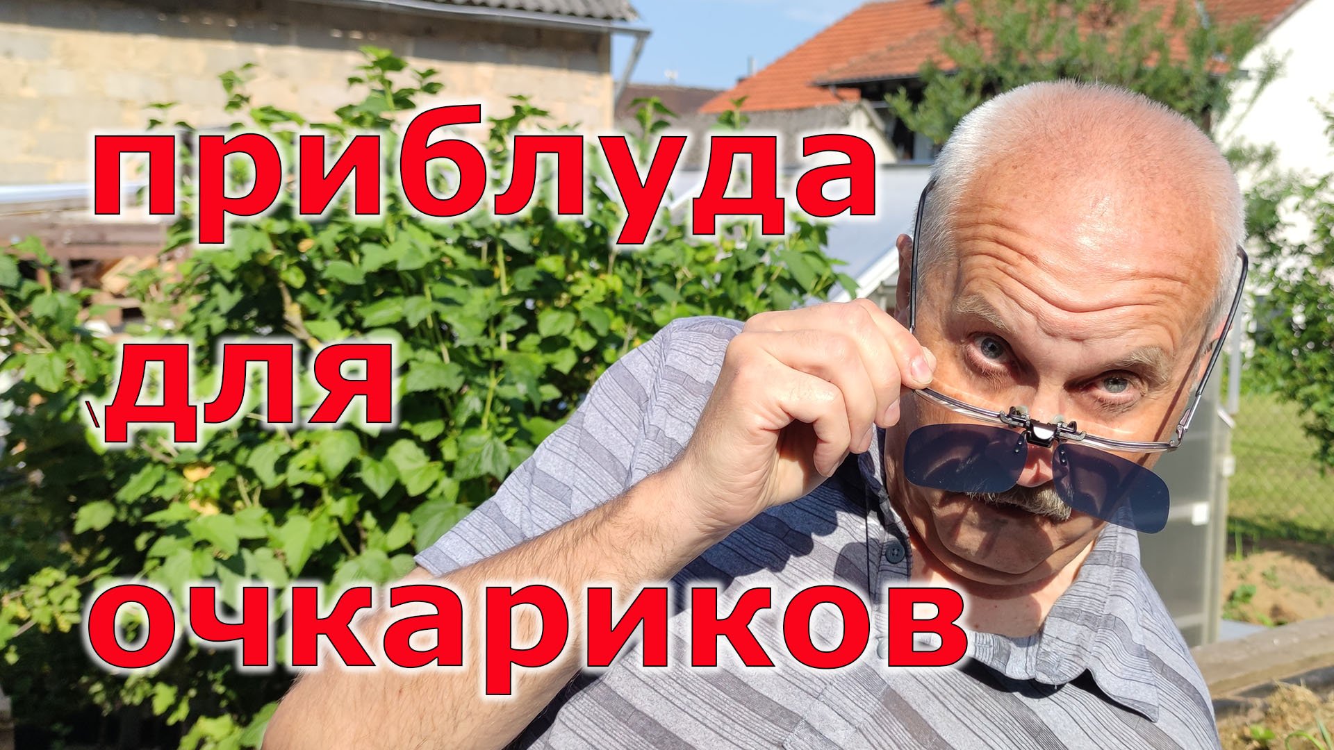 Не очки. Пинсне солнцезащита для очкариков