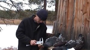 Осенние будни промысла / охота в Сибири