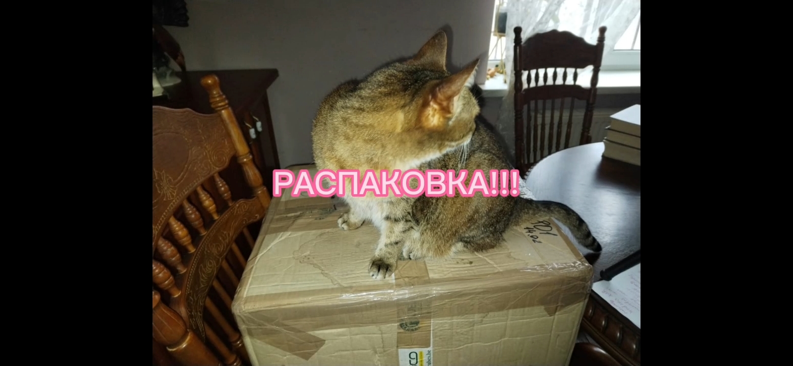 ЧАСТЬ 1. РАСПАКОВКА ЕВРОПЕЙСКОГО ФАРФОРА