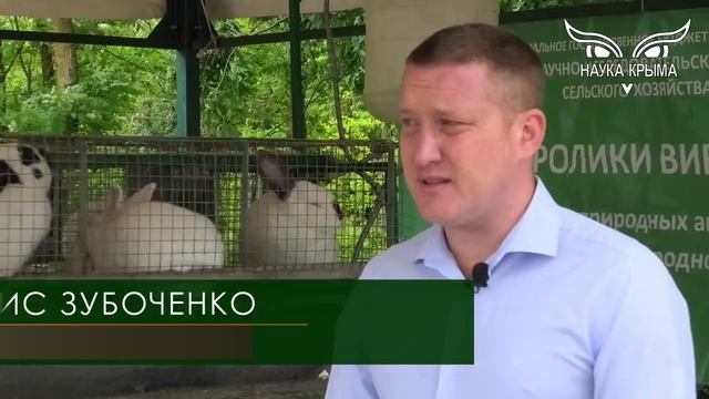 Анонс Дня Поля-2022 смотреть онлайн