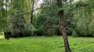 Дендропарк на Первомайской улице в Екатеринбурге