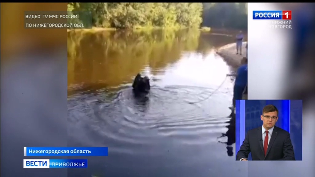 В великом новгороде утонули студенты из индии