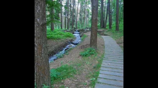 Прогулка в парке Дрозды смотреть онлайн