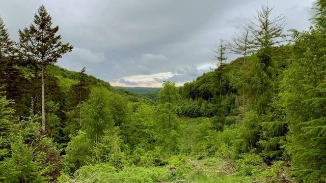 КОСМИЧЕСКИЙ ЗАКОН РАВНОВЕСИЯ. 05.07.2022. смотреть онлайн