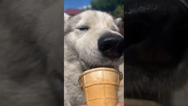 Лето на юге