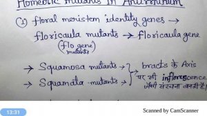 Floral homeotic mutants in Arabidopsis, antirrhinum and Petunia.