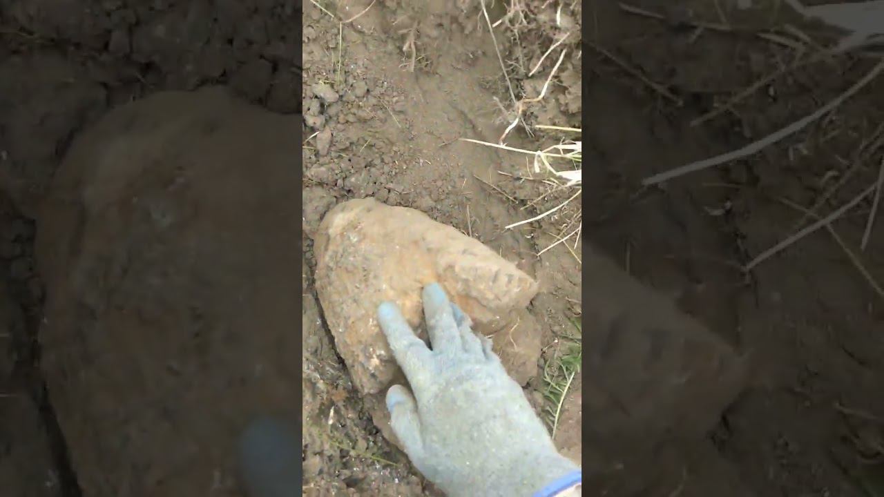 металлокоп!!! не ожидал такое найти!!! смотреть онлайн