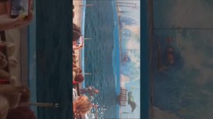 цирк плюс зоопарк