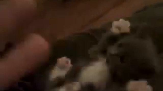 15 секунд, и ты улыбаешься!!!