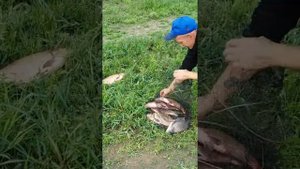 Рыбалка в Речице