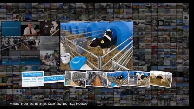 Год в Кировской области завершился открытием двух животноводческих объектов смотреть онлайн