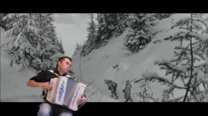 Старый клен