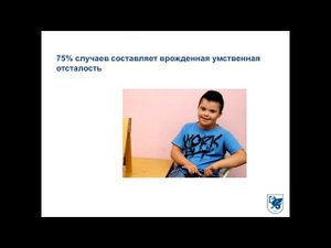 ИПО Валиуллина Г.В. -Причины умственной отсталости