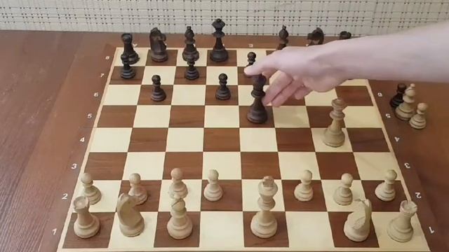 Шахматы. Так вы можете выиграть любую партию. Гарантированная ловушка на короля. Шахматные ловушки