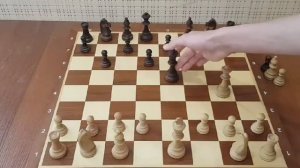 Шахматы. Так вы можете выиграть любую партию. Гарантированная ловушка на короля. Шахматные ловушки