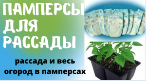 Рассада и весь огород в памперсах  Как использую памперсы для растений