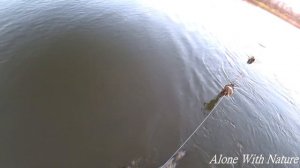 Рыбалка на Оке,как мы ловим налима.