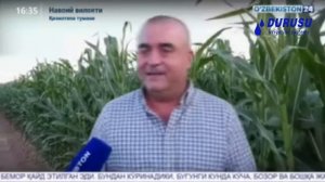 Durusu- Маликчул 200га капельное орошение кукуруза