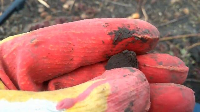 коп в персиковом саду смотреть онлайн