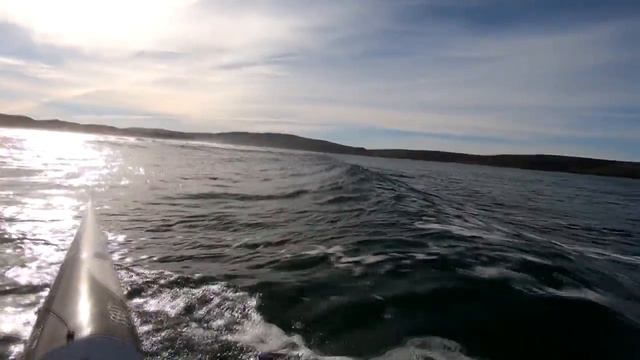 Surfski surf session somewhere in Oregon смотреть онлайн