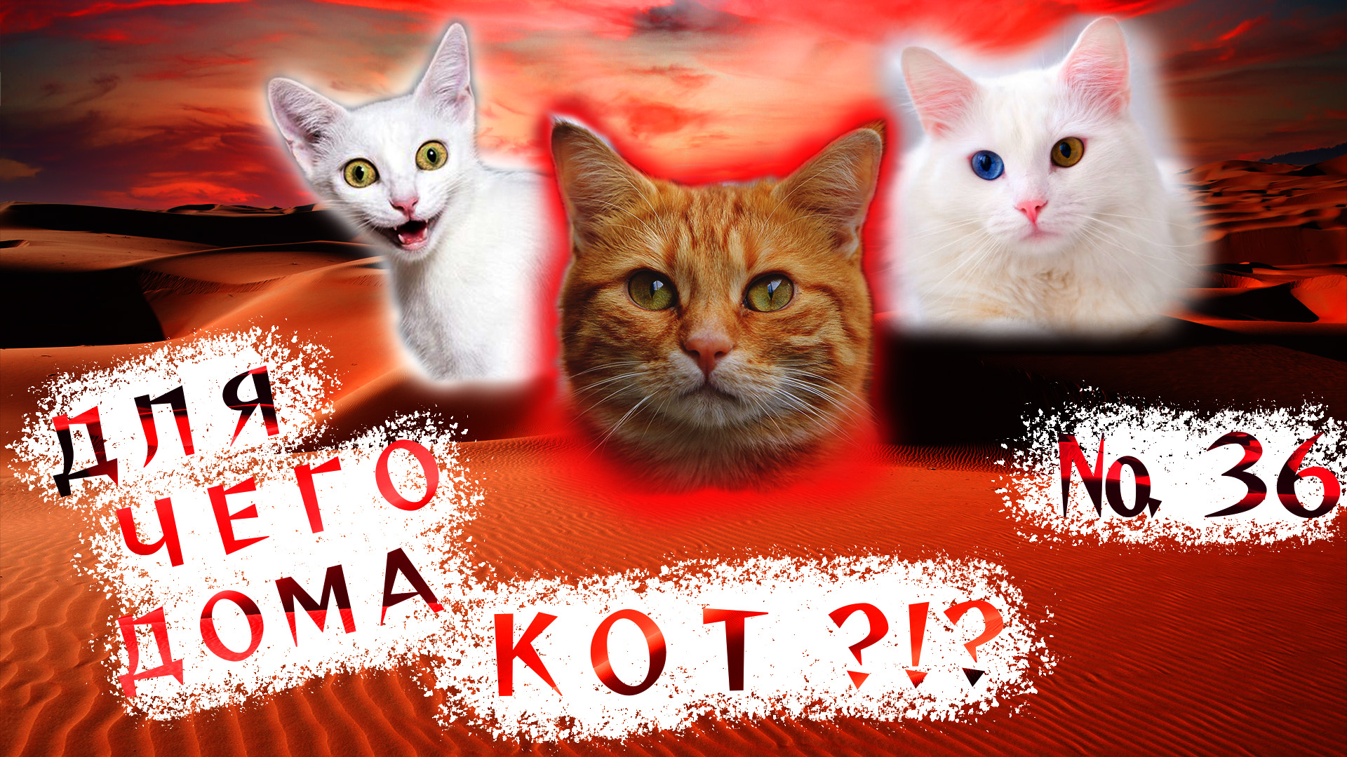 Вот зачем дома НУЖЕН КОТ!!! ?(36). смотреть онлайн