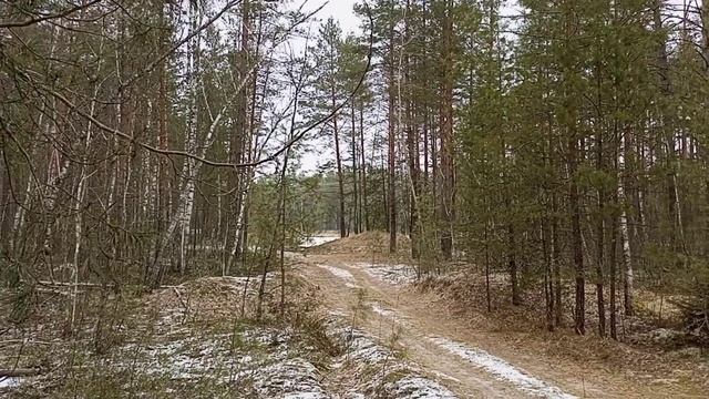 Цена растëт а земля замëрзла. Коп металла. смотреть онлайн