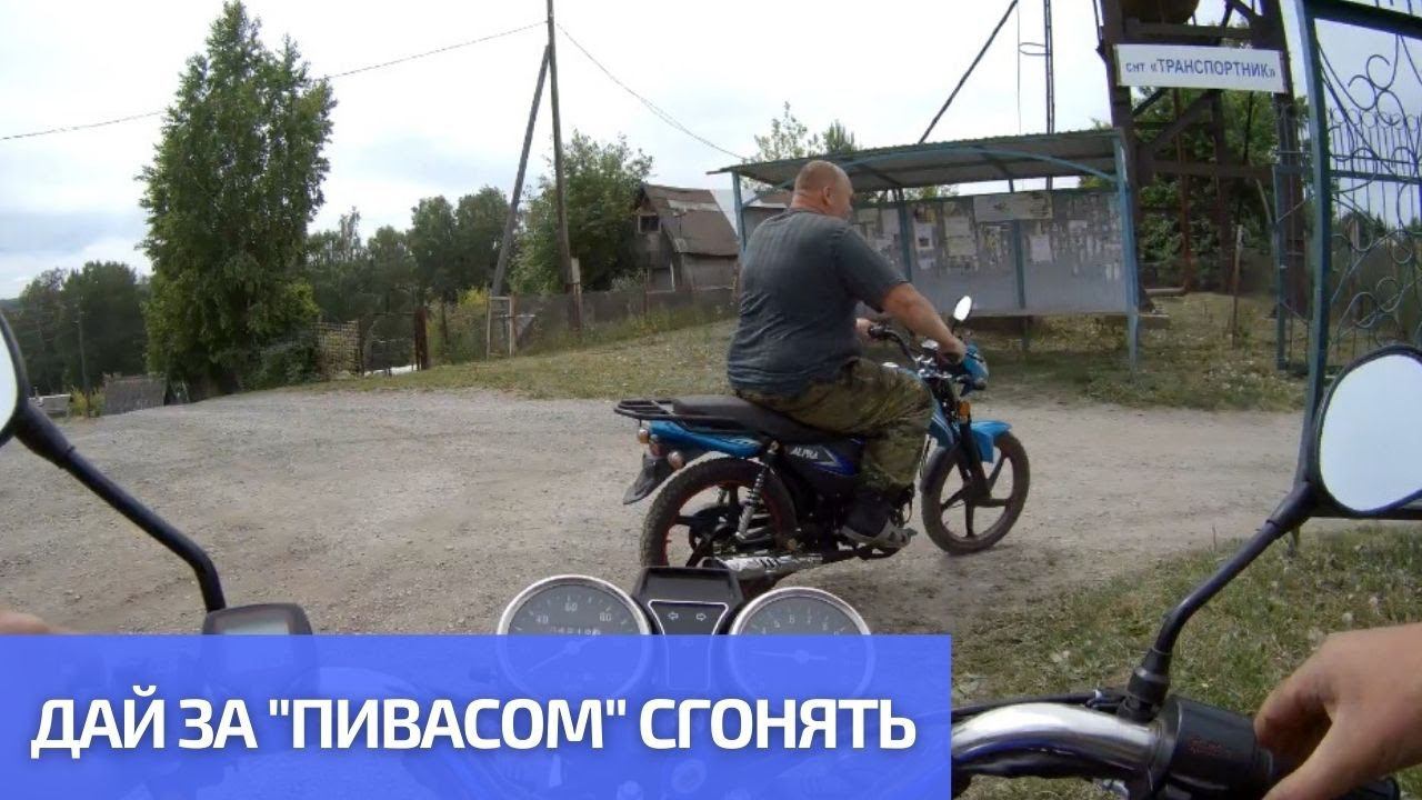 Друг 130 кг попросил Альфу съездить в магазин.