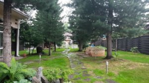 Дача в лесу, плюсы и минусы