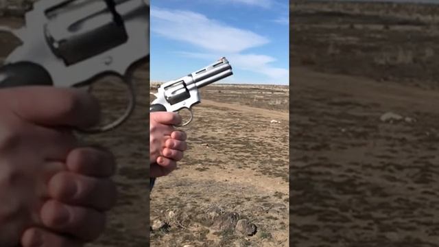 Colt Python Slo Mo #colt #357 #slowmotion #revolver #shooting