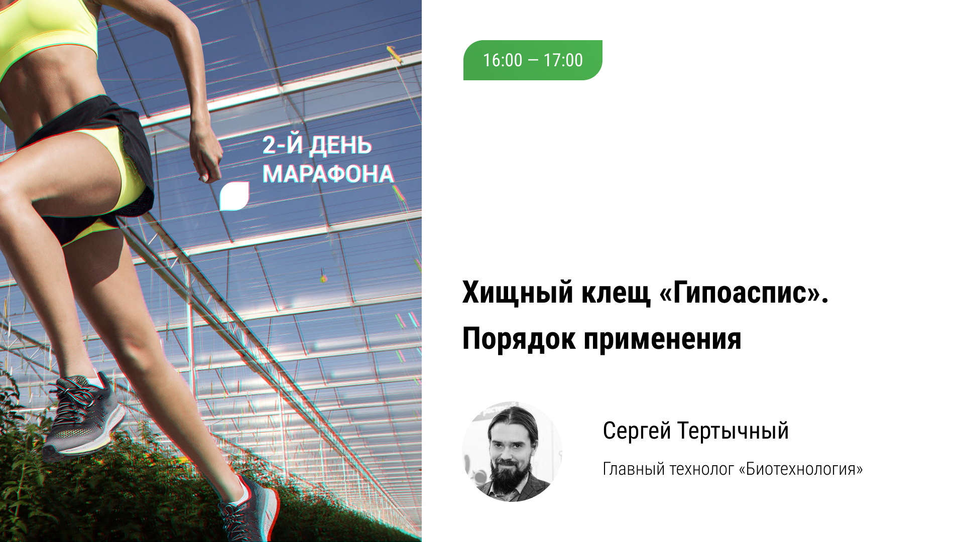 ? Хищный клещ «Гипоаспис». Порядок применения для защиты урожая растений в тепличных комплексах