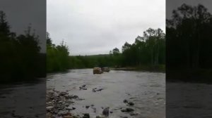 Север 2019 Приморский край Единка