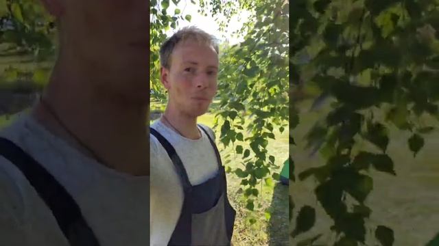 Кирилл Кветка: видео о создании парка. Для конкурса "Аливария"