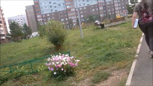 2020-08-28 Гидростроитель жилой район, +19° C, Братск, Сибирь, Россия