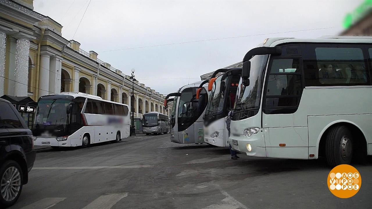 3 автобус тольятти. Луч Тольятти автобусные туры. Автобусный тур из Иваново белые ночи Сан Петербурга 30. Автобусные туры из Самары Румб.