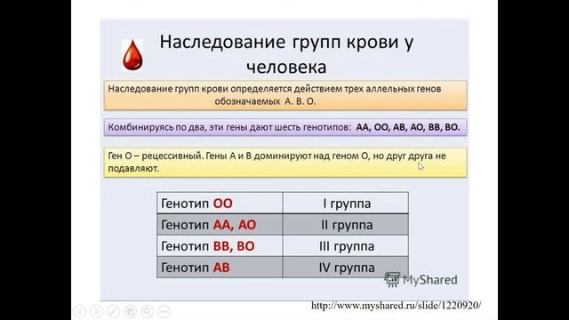 11 Кодоминирование смотреть онлайн