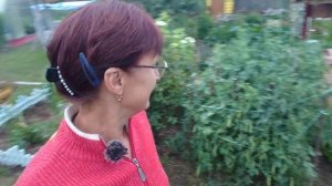 Видео привет с 6 соток 24 июля 2023 года