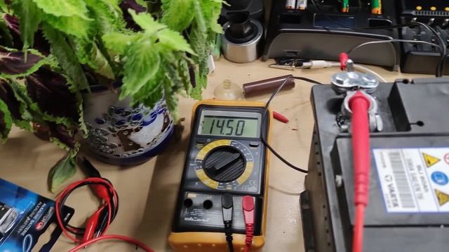 Зима и снег на даче в Германии #дача смотреть онлайн