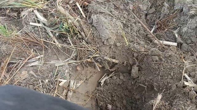 Vanquish 540 против Quest Q30 . ( Ванквиш 540 и Квест Q30 ). смотреть онлайн