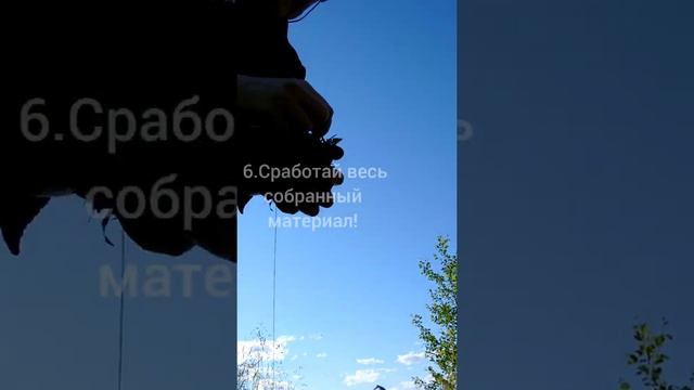 Шары из папоротника