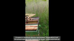 Первые рои 2023 года