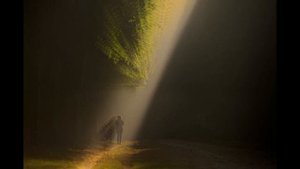 Медитация | Исцеление души от боли и обиды