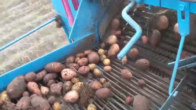 Комбайн Анна Z644 Мтз 82.1 На Уборке Картофеля! . смотреть онлайн