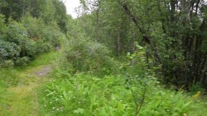 Прогулка к Лавнинскому водопаду. Мурманская область, река Лавна.
